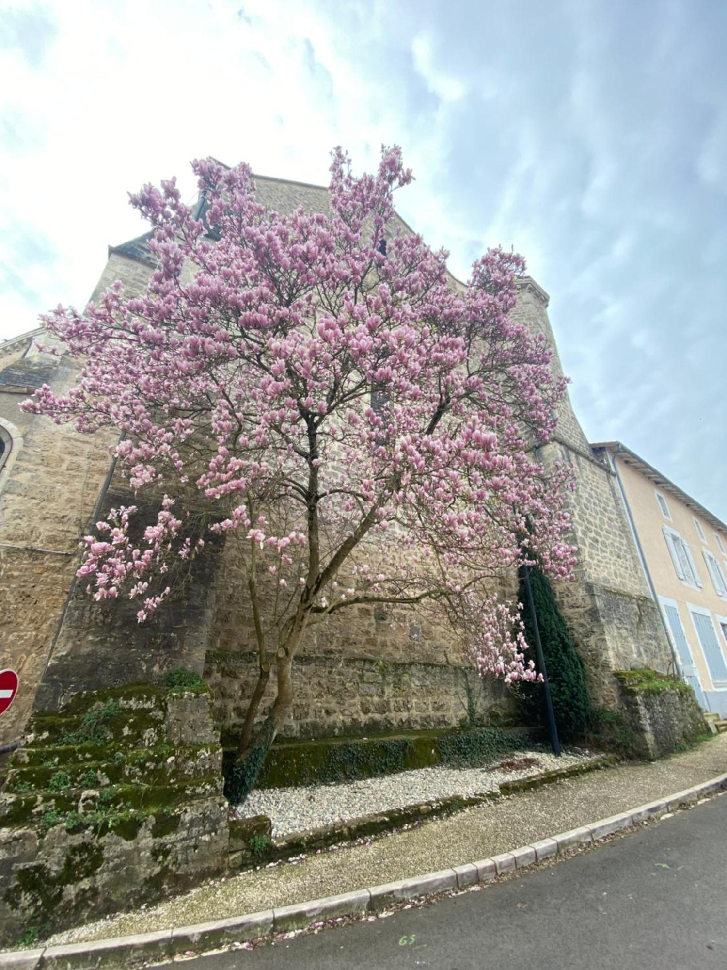 Logis Hotel Le Saint Georges Vivonne Zewnętrze zdjęcie
